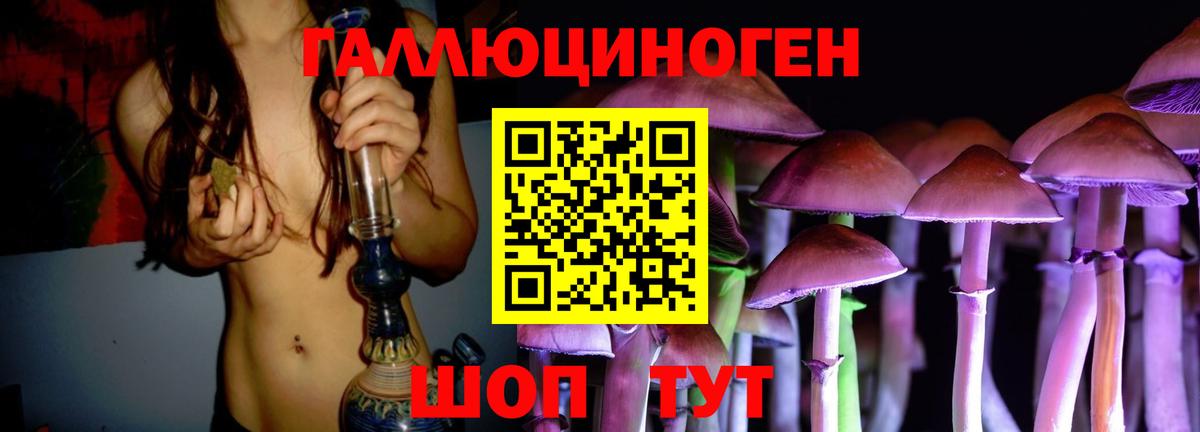 Галлюциногенные грибы Psilocybe  где найти наркотики  Новороссийск  Вход с VPN  Галлюциногенные грибы Cubensis 