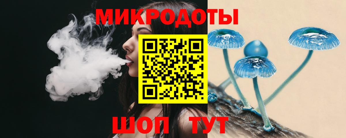 Псилоцибиновые грибы Cubensis Новороссийск